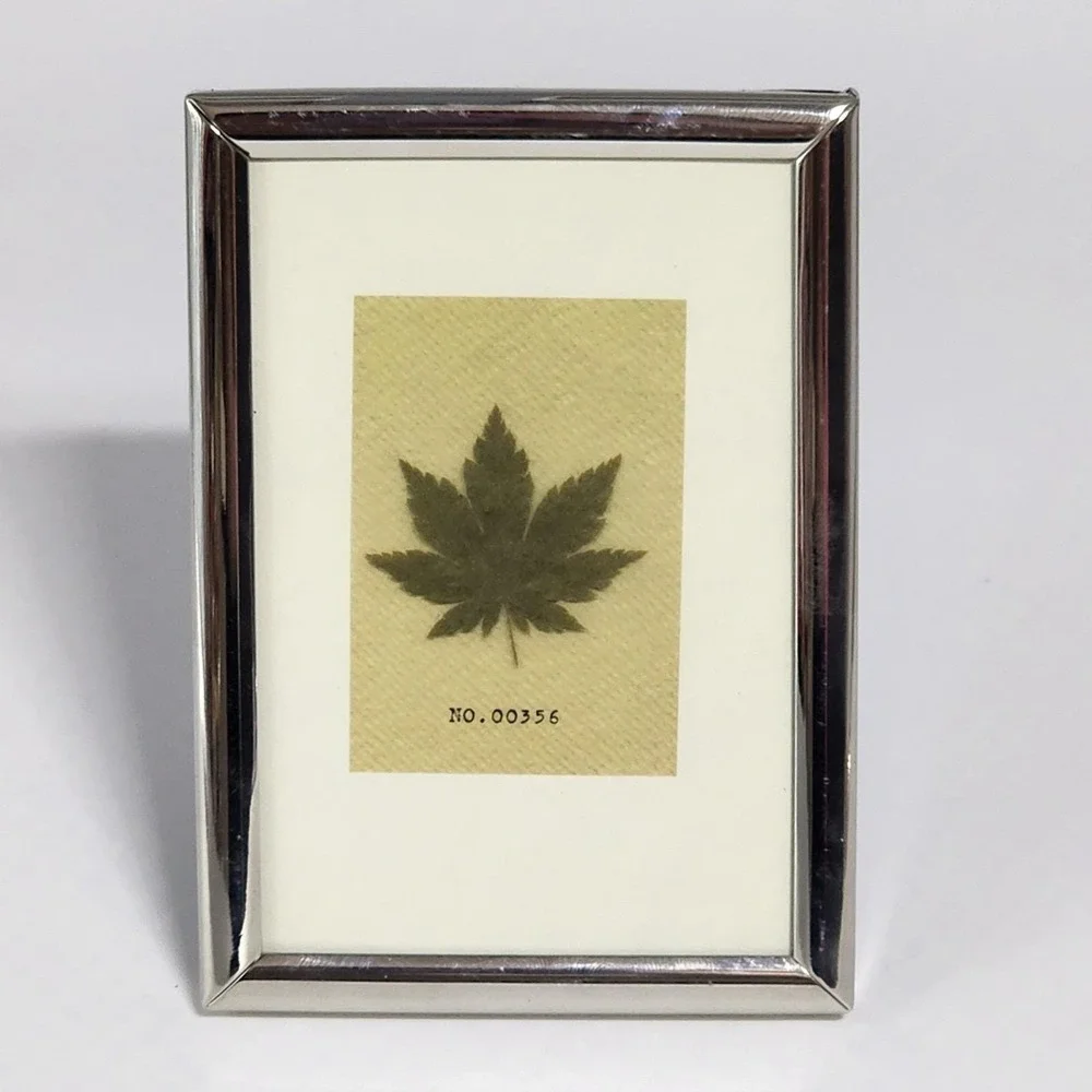 Vintage Pressed Maple Leaf Botanical Art Silver Tone Easel Back Frame 4.5x3